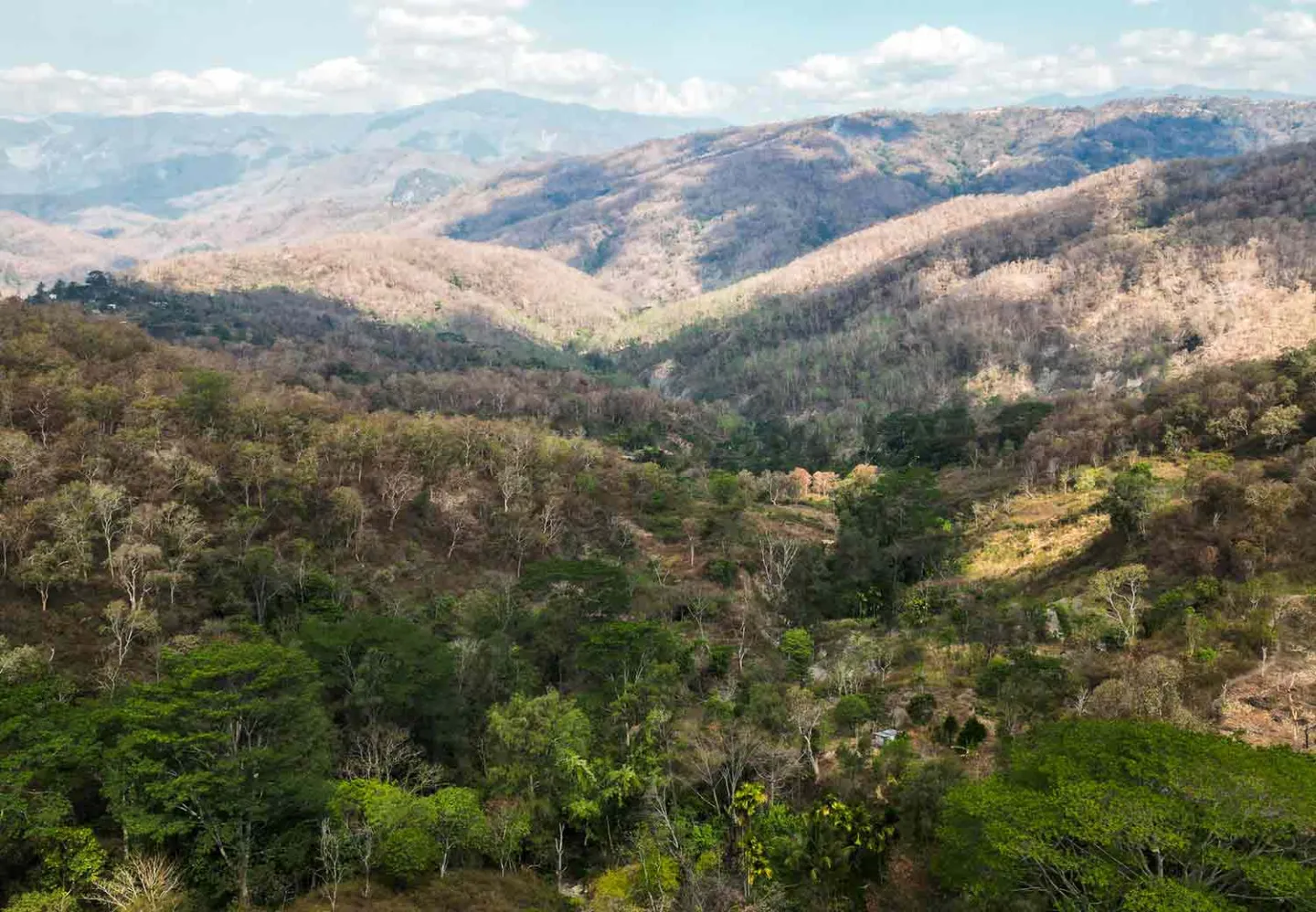 Timor Leste er rammet av tørke.