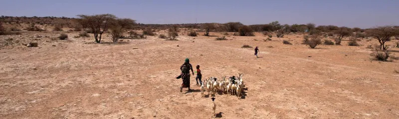 Najma fra Somaliland. Najma har flyktet med familien sin på grunn av tørke.