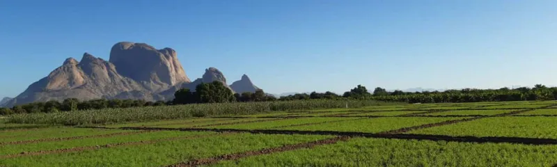 Landskapsbilde med fjell og dyrket jord fra Sudan