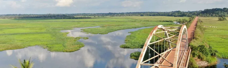 Landskap med bro over vann i Kamerun