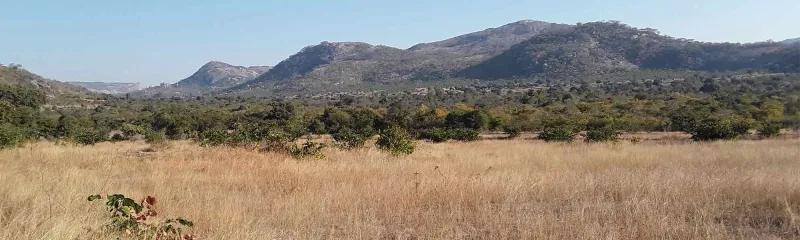 Slettelandskap fra Zimbabwe