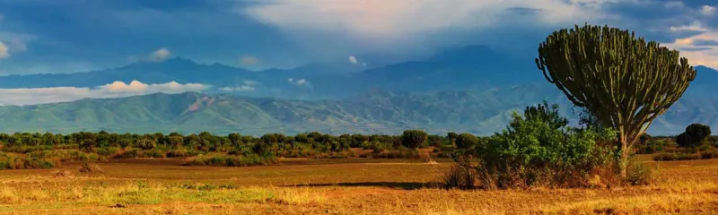 Solrikt naturlandskap fra Uganda