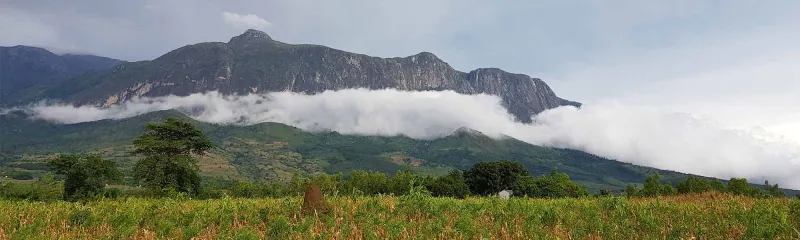 Fjellene i Mulanje i Malawi