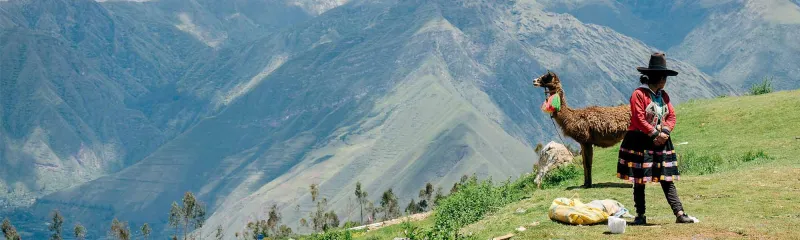 Kvinne med lama Sacred Valley i det Andinske høylandet i Peru