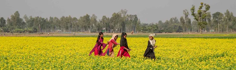 Jenter går gjennom rapsåker i Bangladesh