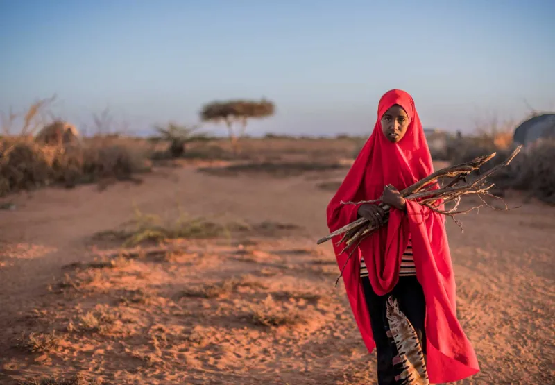 Jente i Somalia bærer ved og ser i kamera